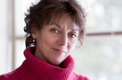 Francine Pelletier Chroniqueuse Le Devoir Jean Theberge, president pour m. Turcott